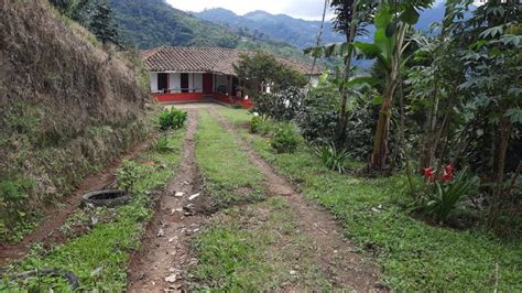 fincas en venta santa rosa de cabal